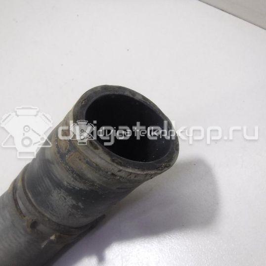 Фото Патрубок радиатора  1J0122051H для Seat Leon / Toledo