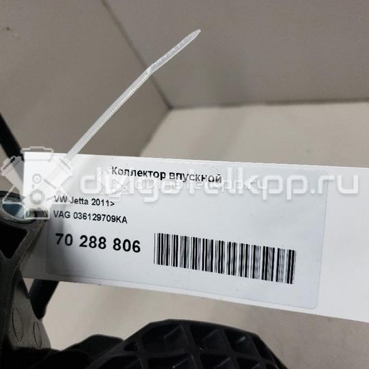 Фото Коллектор впускной  036129709KA для Volkswagen / Seat