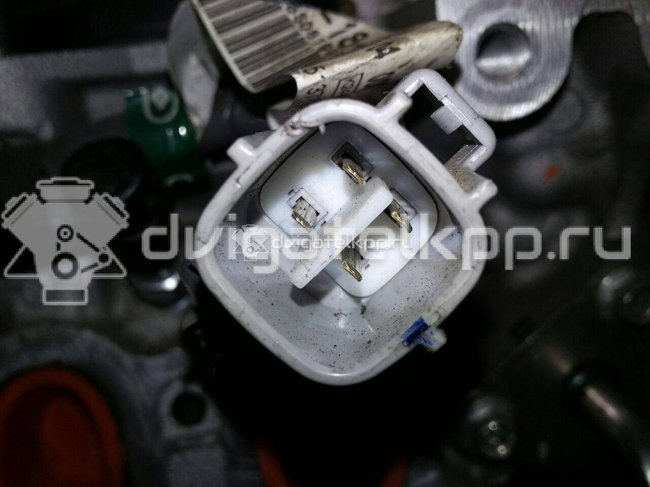 Фото Контрактный (б/у) двигатель SHY1 для Mazda Cx-5 / 6 / 3 150-175 л.с 16V 2.2 л Дизельное топливо {forloop.counter}}